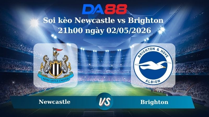 DA88 Nhận định soi kèo Newcastle vs Brighton 21h00 ngày 02/05/2026 – Ngoại Hạng Anh
